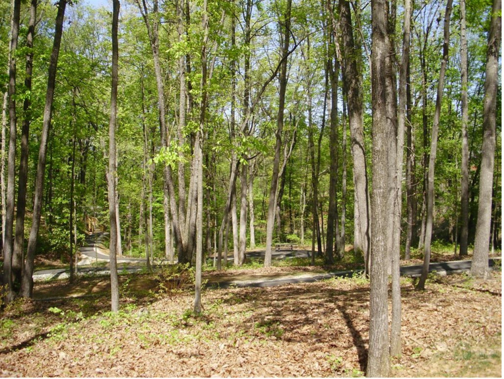 A sparsely forested area of a park that is a notorious dog "poop spot."
