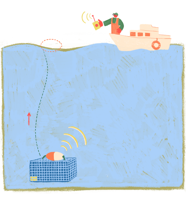 An illustration showing a crab fisherman holding a remote control from his boat on the surface of the water, above "pop-up" gear at the bottom of the ocean.